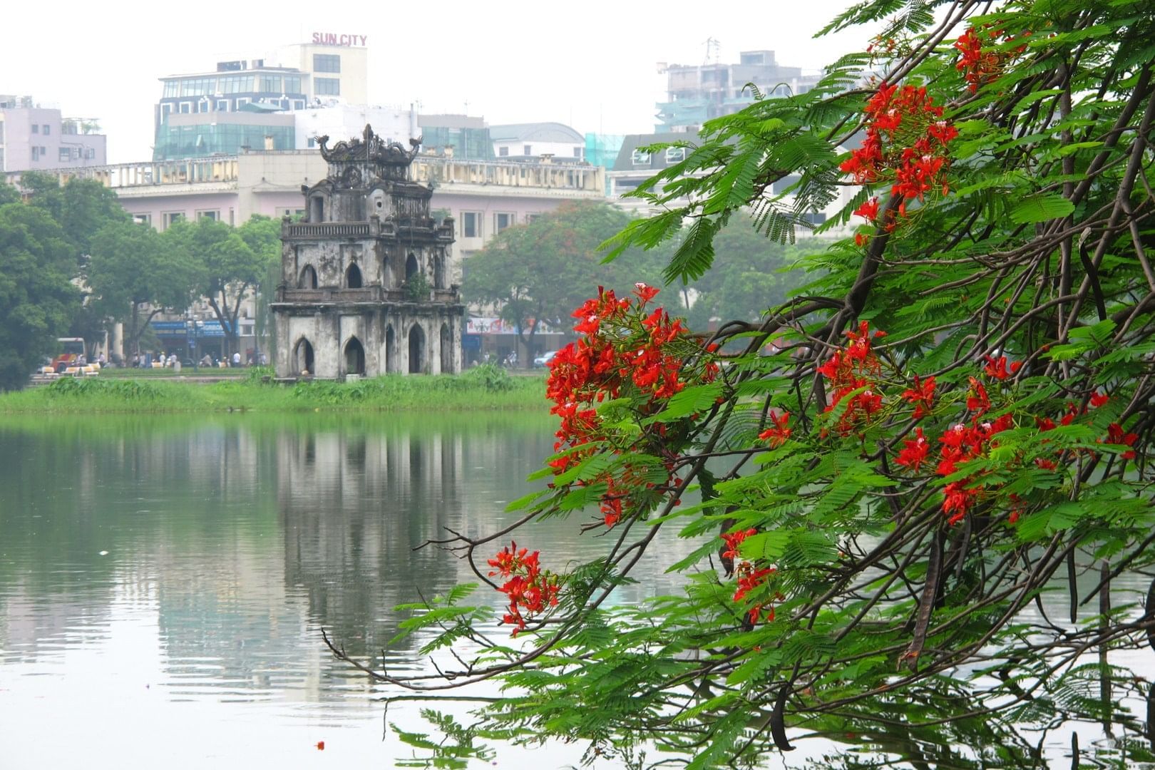 View of Hoàn Kiếm Lake through a tree near Sunway Hotel Hanoi