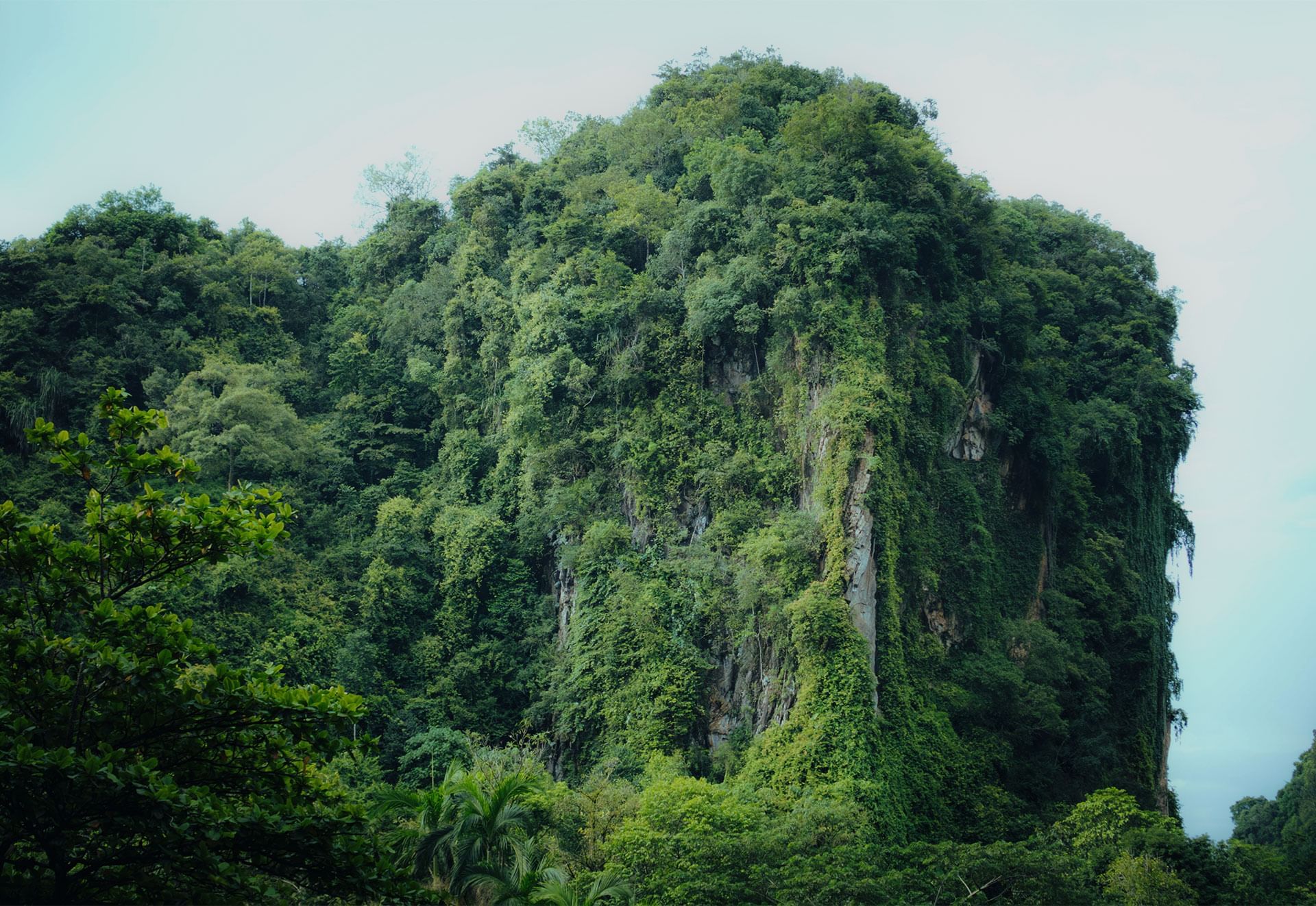 Lush green mountain with at The Banjaran Hotsprings Retreat